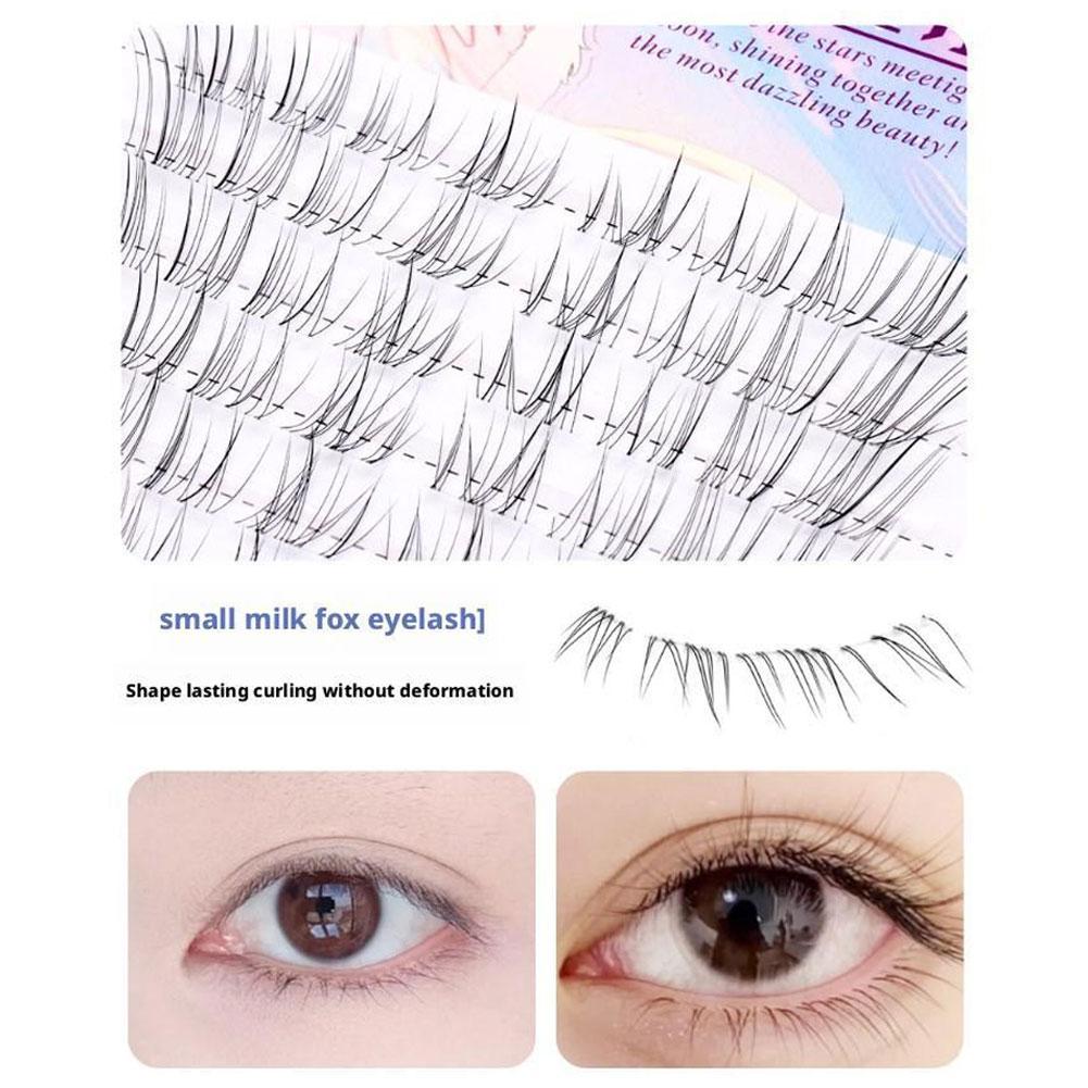 Sunflower Lashes Brown Manga F - Eyelash Extension Douyin review and price